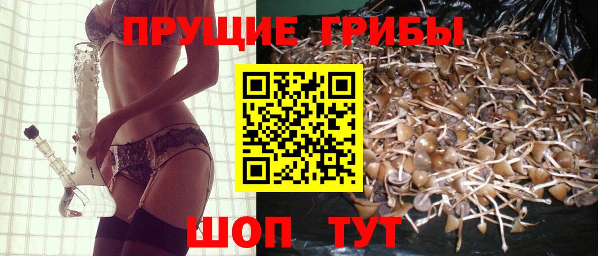 Псилоцибиновые грибы GOLDEN TEACHER  Галлюциногенные грибы Magic Shrooms  закладки  Новокубанск 